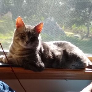 Meet your Posher, Annette